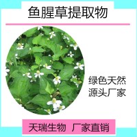 鱼腥草提取物  鱼腥草粉10:1药食同源
