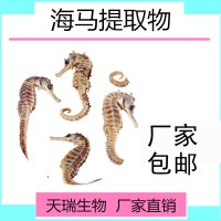 海马提取物天瑞源头厂家批发海马高倍浓缩粉