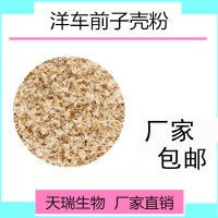 洋车前子壳粉代餐粉原料源头厂家现货