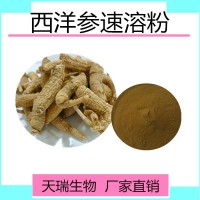西洋参速溶粉西洋参皂甙80%源头厂家天瑞生产