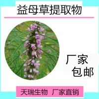 益母草提取物天瑞生物源头厂家比例提取益母草浸膏粉