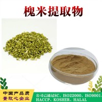 槐米提取物   槐米浓缩粉