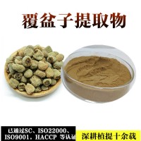 覆盆子粉  覆盆子提取物