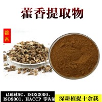 藿香提取物  藿香浓缩粉