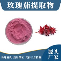 玫瑰茄提取物 玫瑰茄粉 支持定制 水溶性粉末 多种规格