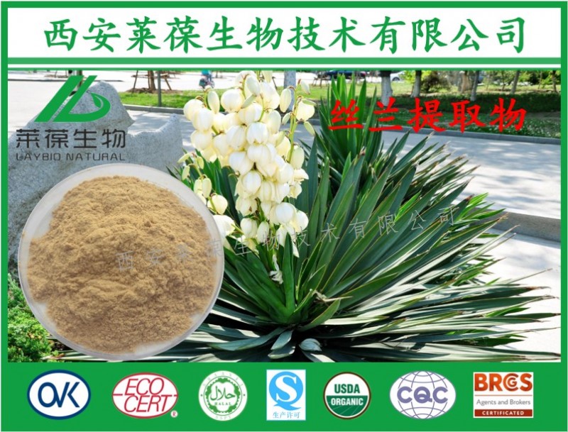 丝兰-1