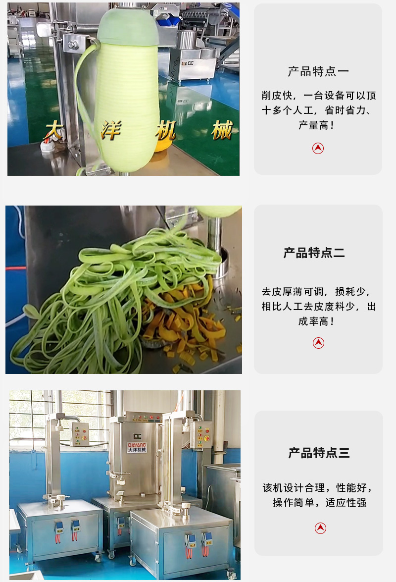 冬瓜削皮机详情_08