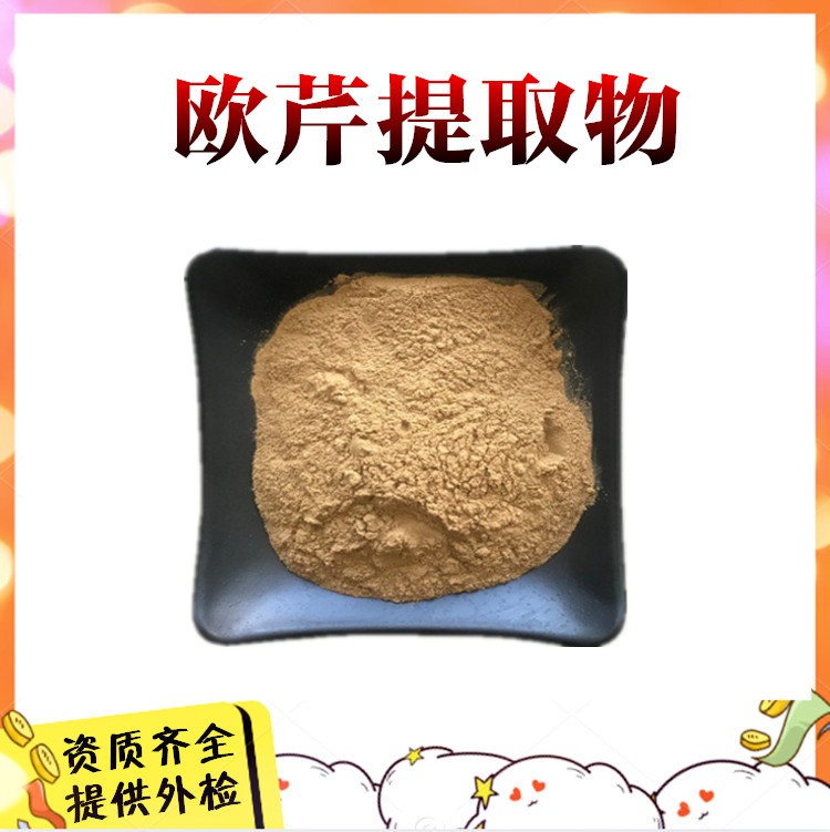 Q副本_副本_副本_副本
