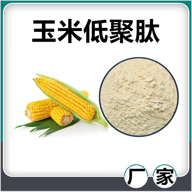 玉米低聚肽