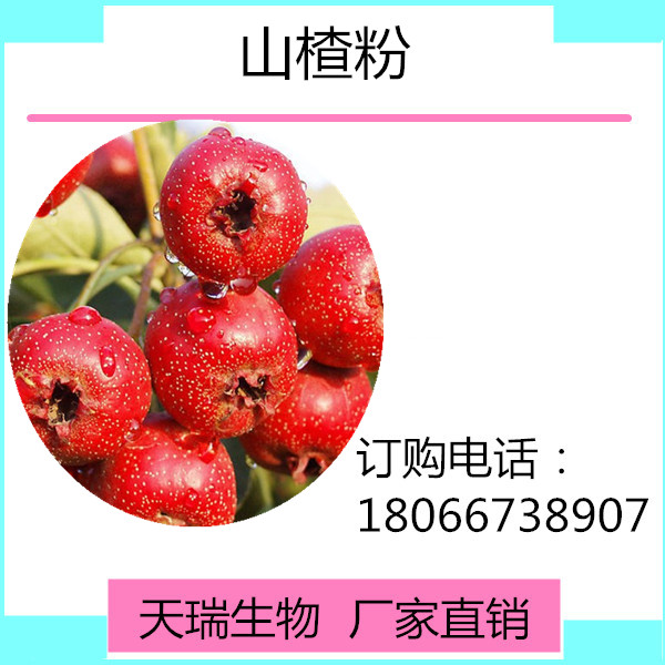 山楂_副本