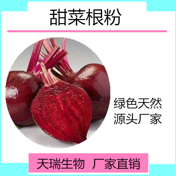 甜菜根_副本