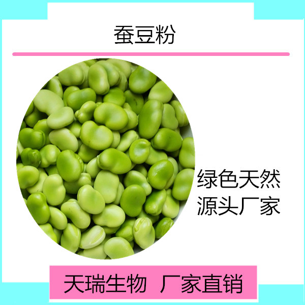 蚕豆_副本