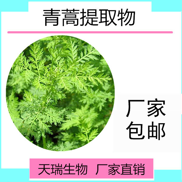 青蒿_副本