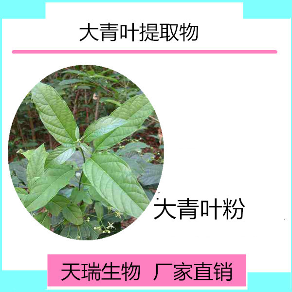 大青叶