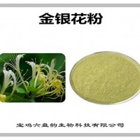 金银花速溶粉 金银花粉 厂家发货