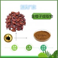 金樱子提取物10:1现货包邮金樱子速溶粉
