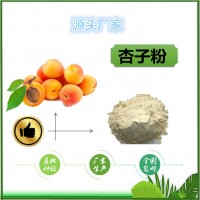 杏子粉杏子果粉全水溶固体饮料原料杏子果汁粉