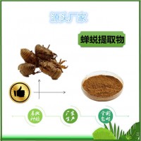 蝉蜕提取物速溶粉蝉蜕粉全水溶厂家包邮