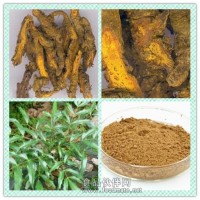 黄连提取物粉 黄连浸膏价格