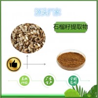 石榴籽提取物10:1 石榴籽多酚80%