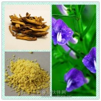 黄芩提取物粉 黄芩浸膏价格