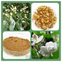 代代花粉 代代花提取物价格