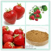 草莓提取物粉 草莓浸膏价格