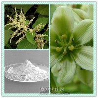 虎杖提取物 虎杖粉 白藜芦醇