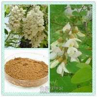 槐花提取物 槐花粉