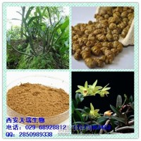 石斛粉 石斛提取物 石斛浸膏