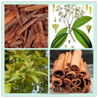 肉桂粉 肉桂提取物 肉桂浸膏价格