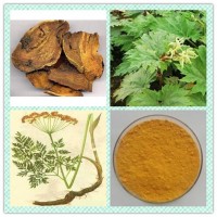 供应：羊蹄提取物|羊蹄大黄|土大黄提取物
