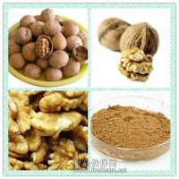 核桃仁提取物粉 核桃仁浸膏价格