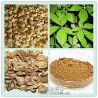 北沙参提取物粉 北沙参浸膏价格