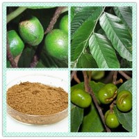 植物淄醇 20:1 天然臀果木提取物