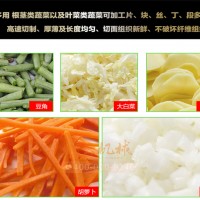 企业食堂智能切菜机 切菜品种多的用切菜机 双机头切菜机