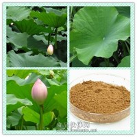 荷叶提取物粉 荷叶浸膏 荷叶碱