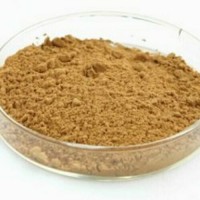 西洋参提取物 药食同源速溶粉