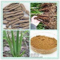 仙茅提取物 仙茅粉