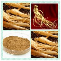 人参提取物 总皂甙80%