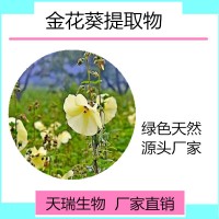 金花葵粉 金花葵浓缩粉比例提取天瑞生物现货