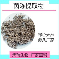 茵陈粉 茵陈喷雾干燥粉比例提取包邮