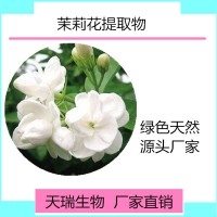 茉莉花粉  茉莉花提取物天瑞生物现货