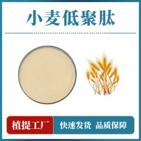 小麦低聚肽粉 支持定制 水溶性粉末 多种规格