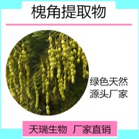 槐实粉  槐实浸膏天瑞生物