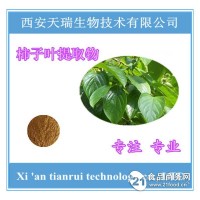 柿子叶提取物 柿子叶粉比例提取天瑞规格可定制