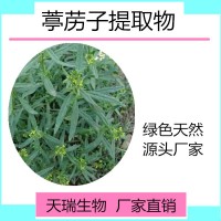 葶苈子粉  葶苈子浸膏比例提取天瑞生物现货