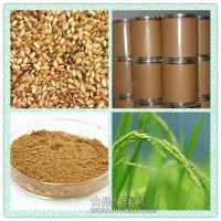 米糠提取物 米糠粉 米糠阿魏酸