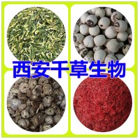 肉豆蔻水溶粉 定制肉豆蔻提取物玉果浸膏颗粒五谷熟粉