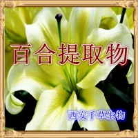 百合浓缩粉 供应水溶性植物提取物定做喇叭筒浓缩流浸膏